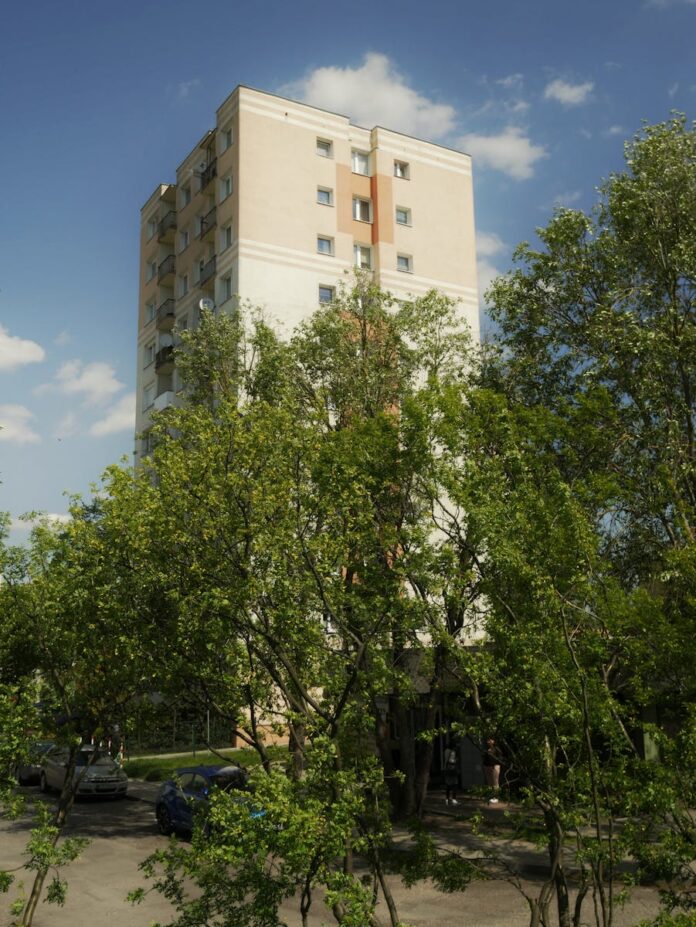 Jakie są trendy w lokalnym biznesie w Łomży?